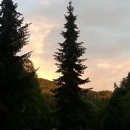 Гостевой дом Pod Houskou 3*