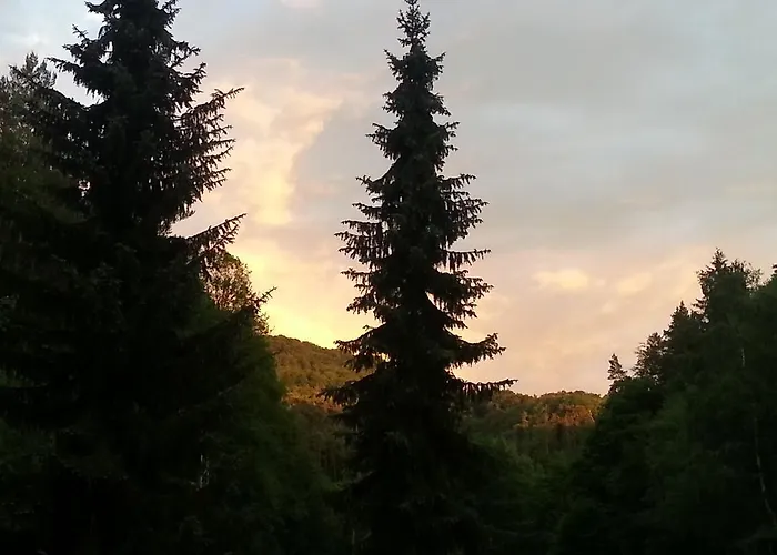 Gasthof Pod Houskou 3*